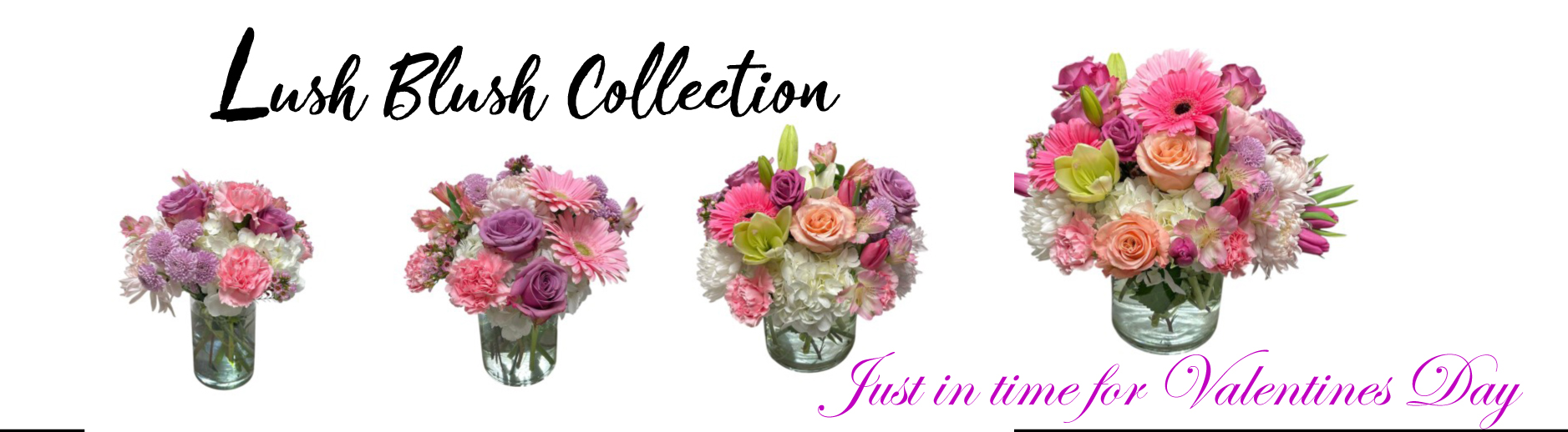 valentine rose web rotation 26